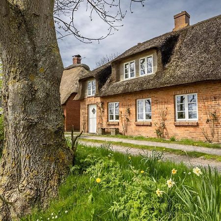 Westertilli 8 Пелворм Екстериор снимка